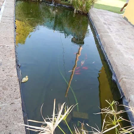 Corte Bolandina Alojamento de Acomodação e Pequeno-almoço Taglio di Po